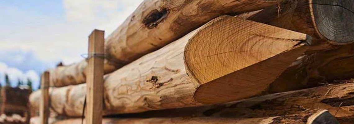 Hegnspæle og stolper