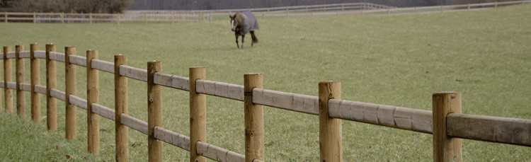 Hestehegn - wrangler hegn. Træhegn til heste