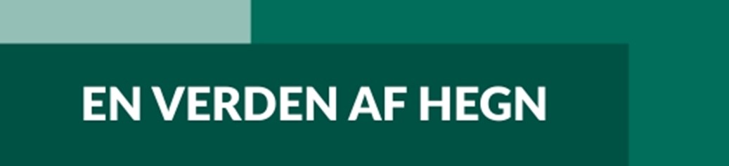 Beregner søges til PIT HEGN